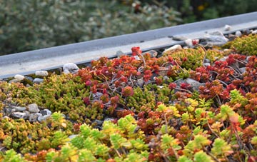 the cost of Croft On Tees green roof installation