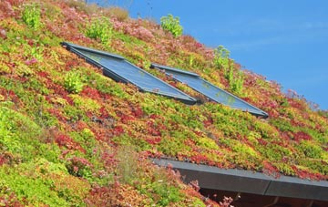 Croft On Tees living roof systems
